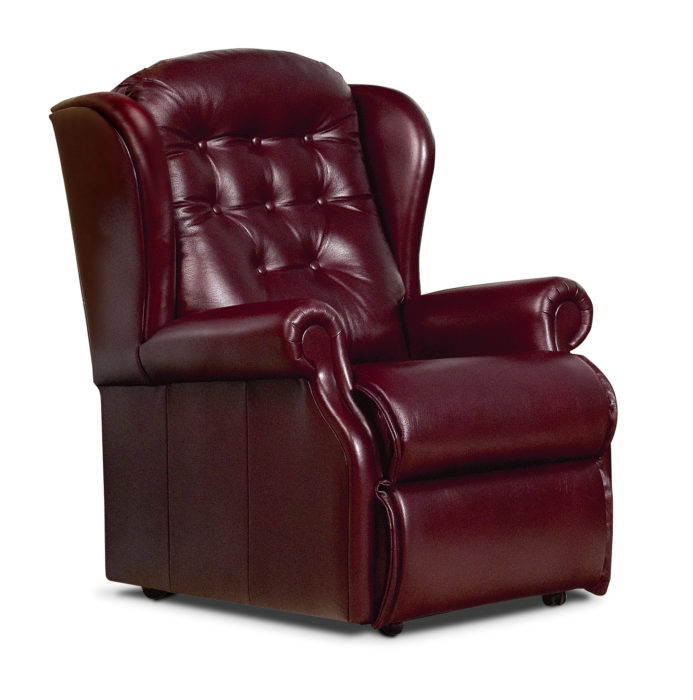 Lynton Small Leather Fixed Chair